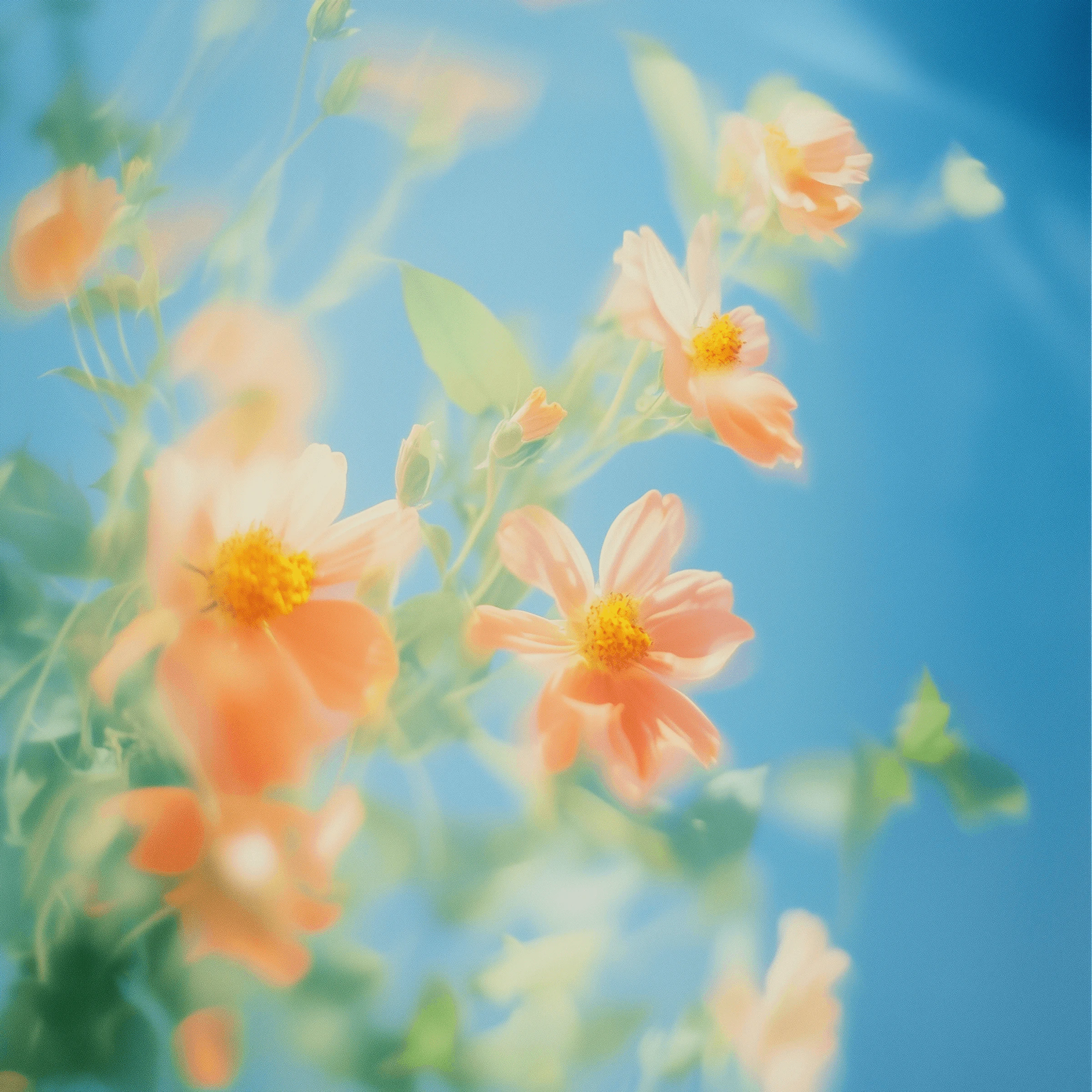 Service Image 03